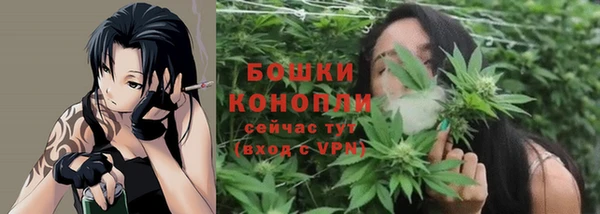 индика Южноуральск