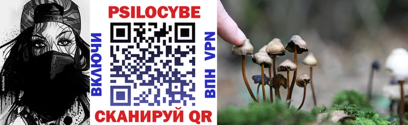 Галлюциногенные грибы Psilocybine cubensis  как найти   Красноуральск 
